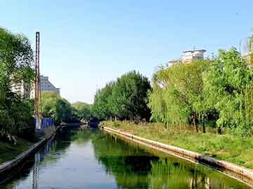NLP练习续集四，学习和算法主导